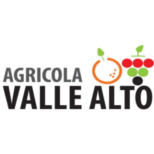 Agrícola Valle Alto