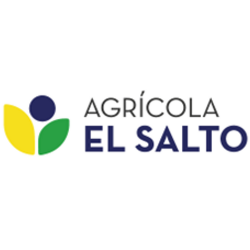El Salto