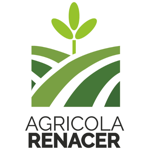 Renacer