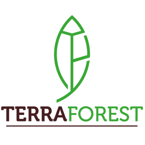 Terraforest