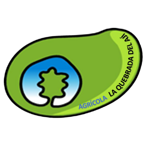 500 x 500 - Fomato Logo Pagina Web