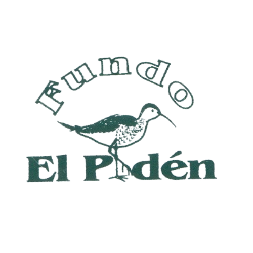 Logo El Piden