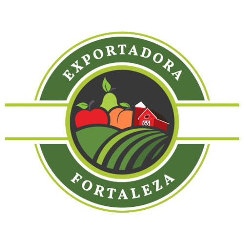 Logo Fortaleza